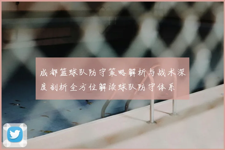 成都篮球队防守策略解析与战术深度剖析全方位解读球队防守体系