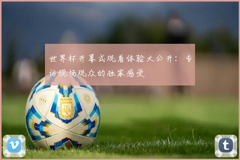 世界杯开幕式观看体验大公开：专访现场观众的独家感受