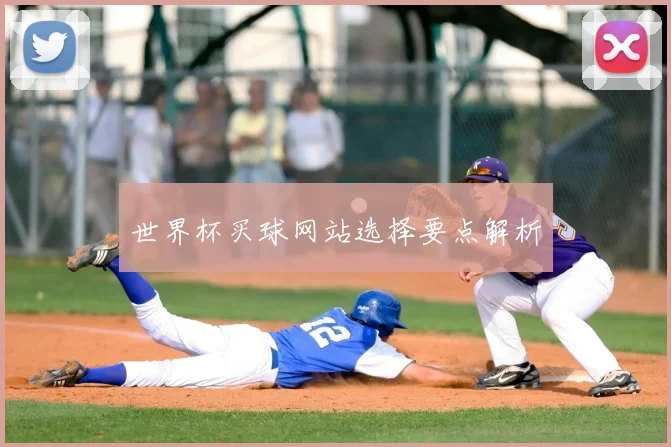 世界杯买球网站选择要点解析