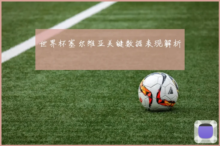 世界杯塞尔维亚关键数据表现解析
