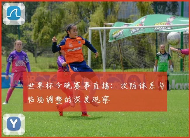 世界杯今晚赛事直播:攻防体系与临场调整的深度观察