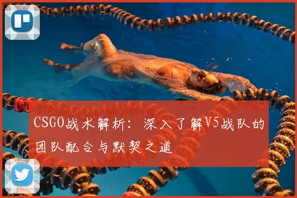 CSGO战术解析:深入了解V5战队的团队配合与默契之道