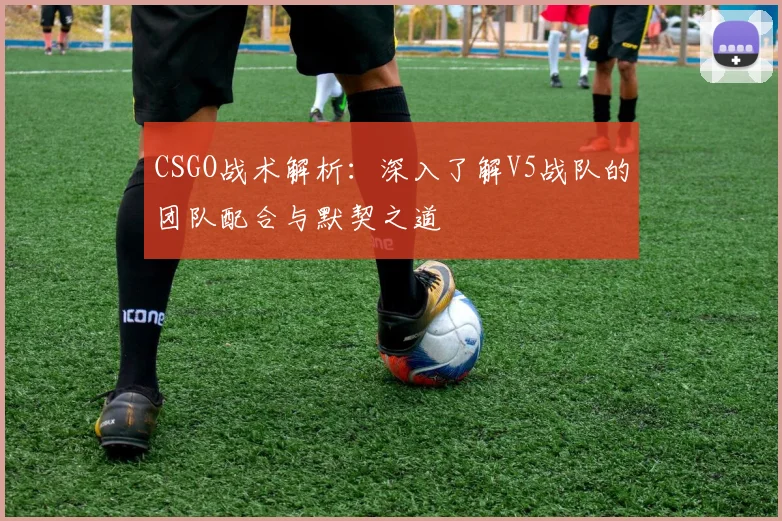 CSGO战术解析:深入了解V5战队的团队配合与默契之道