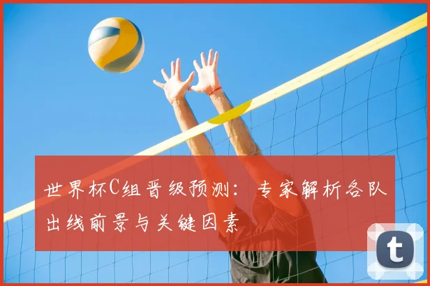 世界杯C组晋级预测:专家解析各队出线前景与关键因素