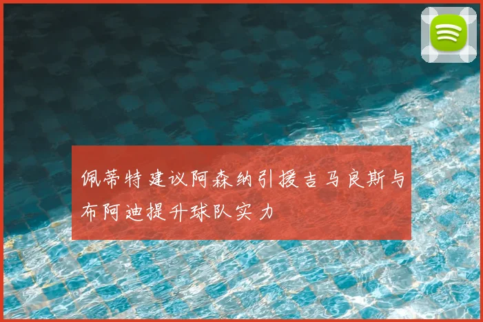 佩蒂特建议阿森纳引援吉马良斯与布阿迪提升球队实力