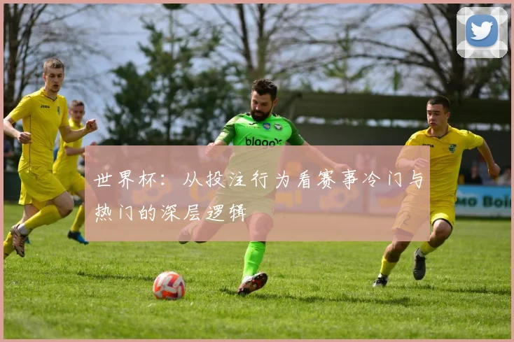 世界杯:从投注行为看赛事冷门与热门的深层逻辑