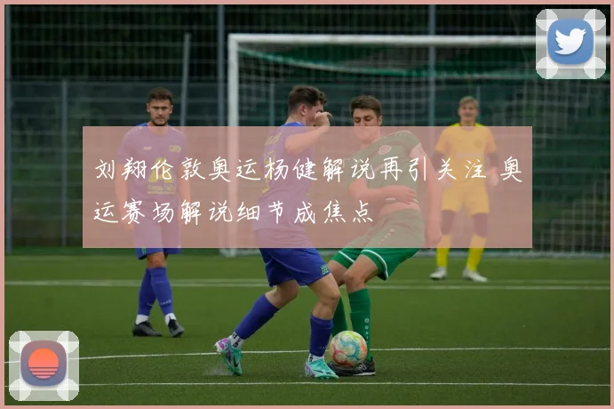 刘翔伦敦奥运杨健解说再引关注 奥运赛场解说细节成焦点
