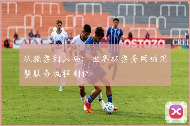 从抢票到入场:世界杯票务网的完整服务流程剖析
