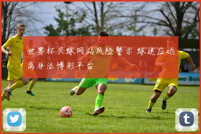 世界杯买球网站风险警示 球迷应远离非法博彩平台