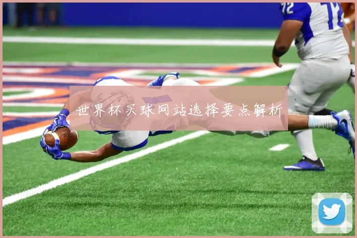 世界杯买球网站选择要点解析